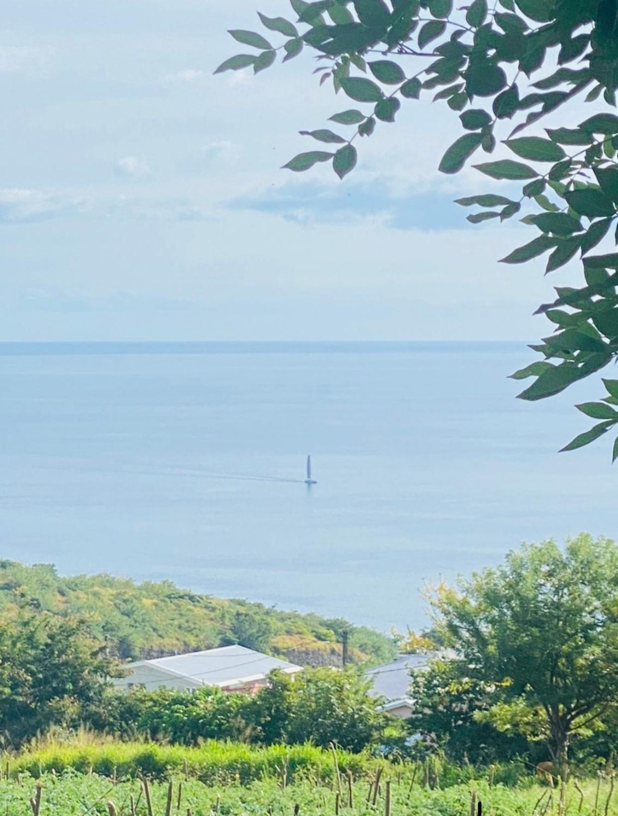 Bas De Villa Vacances Ocean Le Carbet Zewnętrze zdjęcie